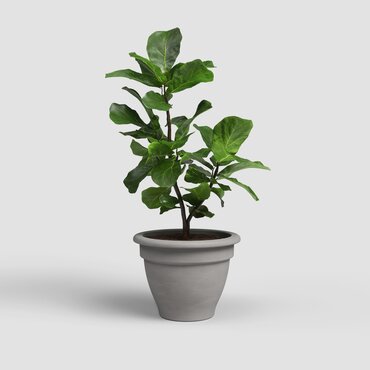 Terracotta Planter Pessoa Campana Volcano 37cm - image 2