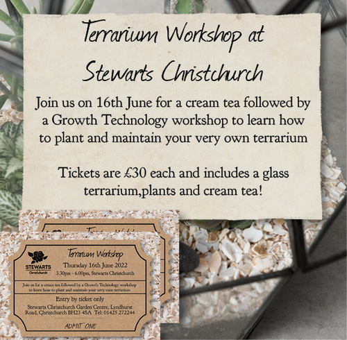 Terrarium Workshop Ticket
