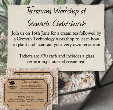 Terrarium Workshop Ticket