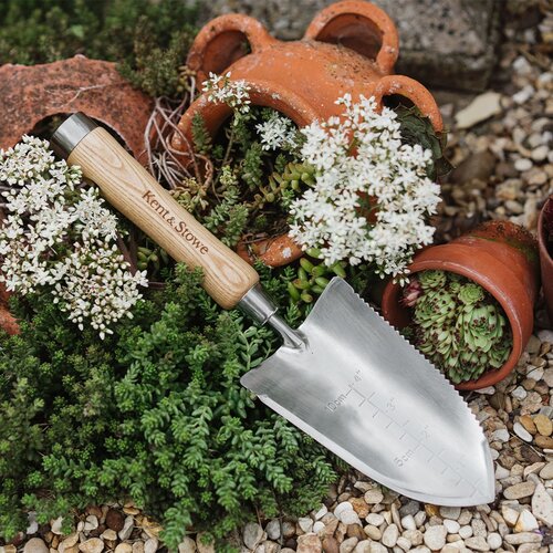 The Capability Trowel Stainless Steel - image 1