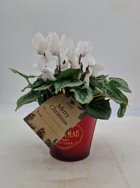 Tin Pail Red Merry Christmas 15cm - image 2