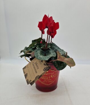 Tin Pail Red Merry Christmas 15cm