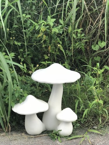 Toadstool Cluster Small White