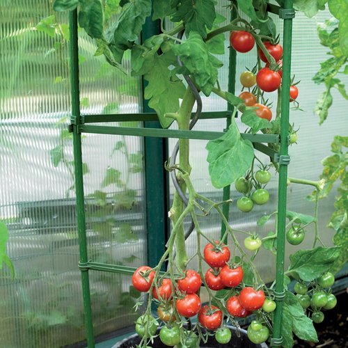 Tomato Cage Plant Support - image 2