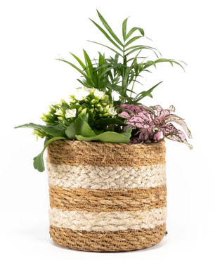 Tots Trio Basket 12cm - image 2