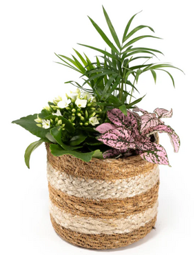 Tots Trio Basket 12cm