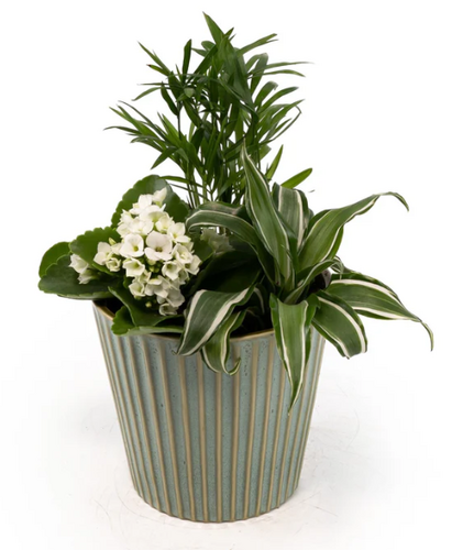 Tots Trio in Hampshire Ceramic 12cm