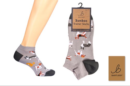 Trainer Socks Doggy Diva (6-11)