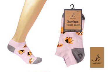 Trainer Socks Guinea Pig (4-7)