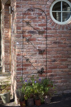 Trellis Metal Butterfly 1.8m