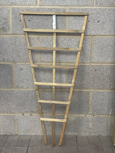 Trellis Natural Fan 3.5ft x 2ft