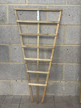 Trellis Natural Fan 3.5ft x 2ft
