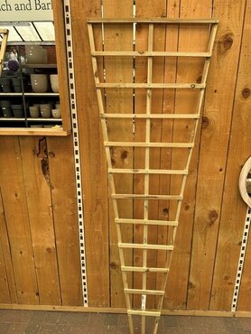 Trellis Natural Fan 6 x 2