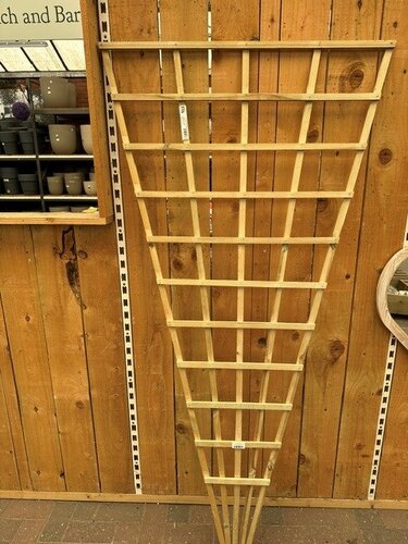 Trellis Natural Fan 6 x 3
