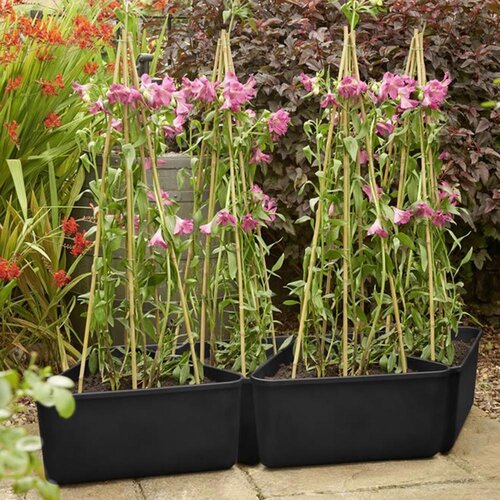 Triangular Cane Support Planter - image 2