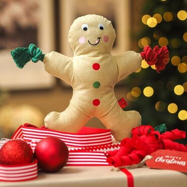 Tuff Earth Gingerbread (Recycled Dog Toy) - image 2