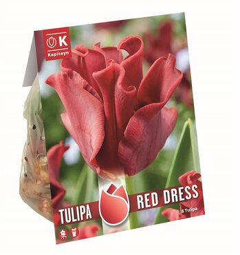 Tulip Coronet Red Dress