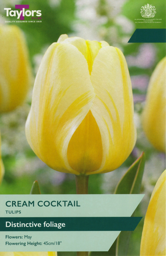 Tulip Cream Cocktail
