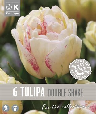 Tulip Double Late Double Shake
