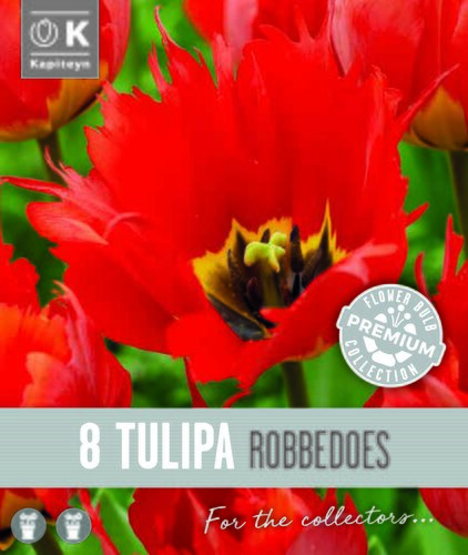 Tulip Double Late Robbedoes