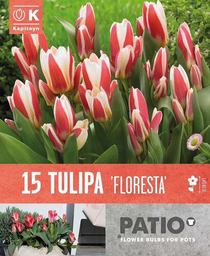 Tulip Floresta Patio Pack