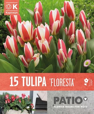 Tulip Floresta Patio Pack