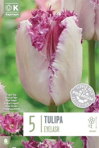 Tulip Fringed Eyelash