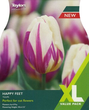 Tulip Happy Feet XL x 18