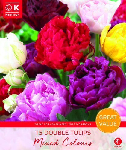 Tulip Mixed Doubles Promo Pack