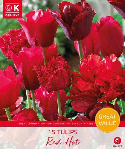 Tulip Red Hot Promo Pack