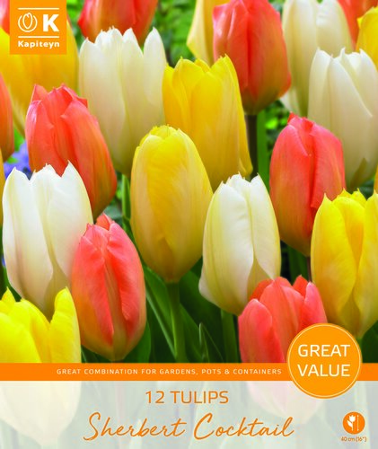 Tulip Sherbet Cocktail Promo Pack