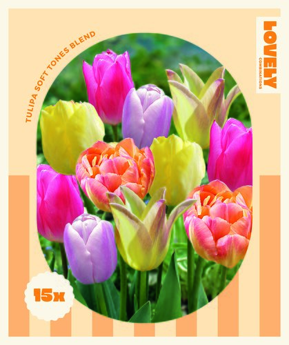 Tulip Soft Tones Combi Pack