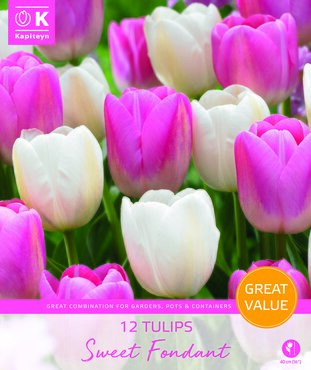 Tulip Sweet Fondant Promo Pack