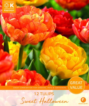 Tulip Sweet Halloween Promo Pack