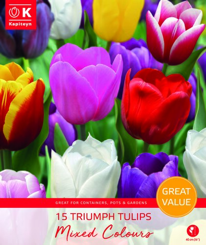 Tulips Triumph Mixed Promo Pack