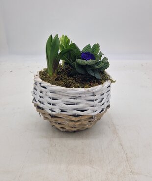 Two Toned Planter 18cm