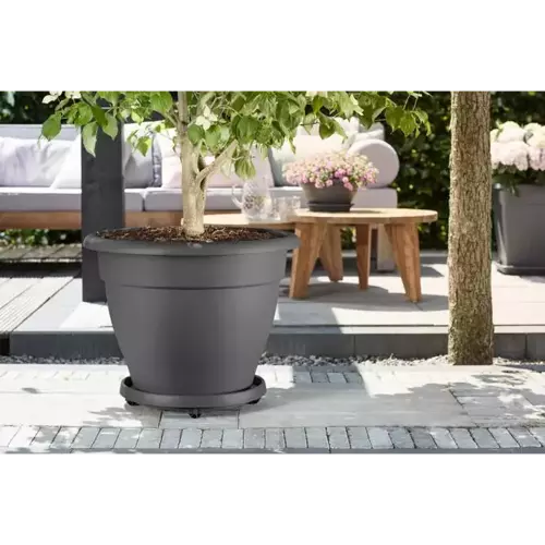Universal Plant taxi 35cm Anthracite - image 2