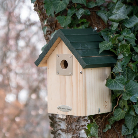 NT Vail Larch 32mm Nest Box - image 1