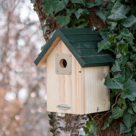 Vail Larch 32mm Nest Box National Trust - image 1