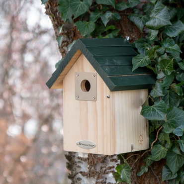 NT Vail Larch 32mm Nest Box - image 2