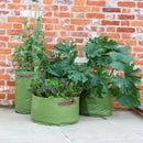 Veg Patio Planter x 3 - image 2