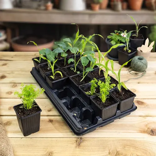 Vegetable Growing Tray 18x9cm Pots UK - image 2