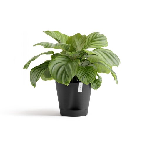 Venice Eco Pot Black 30cm - image 3