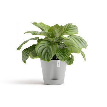 Venice Eco Pot White Grey 30cm - image 3