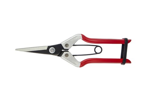 Vine Scissor - image 1