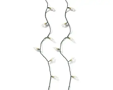 Vintage LED Lights (Warm White) - image 2