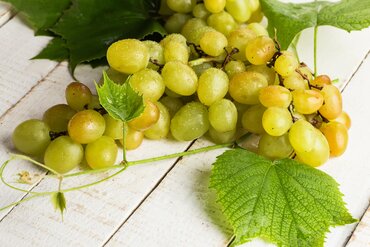 Vitis Pinot Blanc 3 Litre