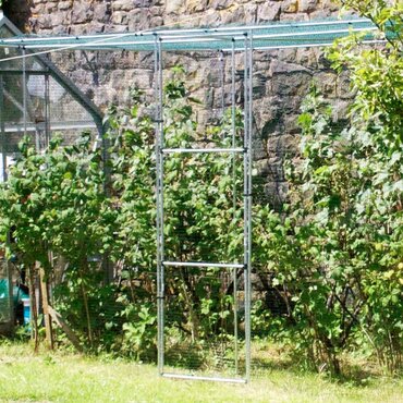 Walk In Fruit Cage Starter Kit 6ftx 12ft - image 2