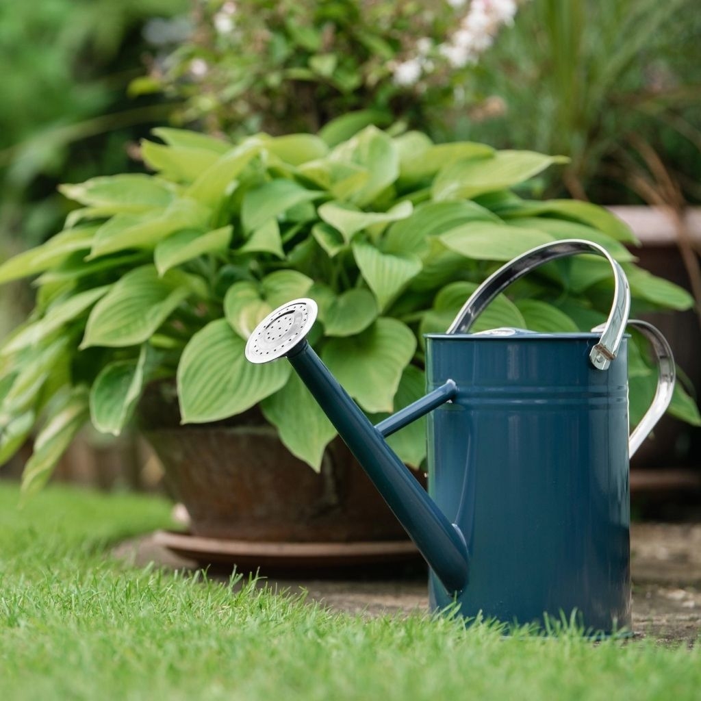Watering Can Metal Midnight Blue 4.5L Stewarts Garden Centre
