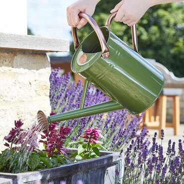 Watering Can Sage 4.5L